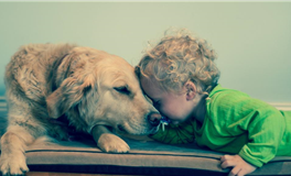 面对强势的男友，属猴女会怎么做？