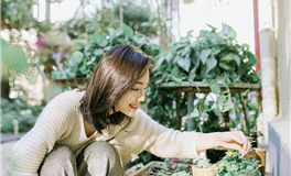 双子座女生玩一夜情的基本路径