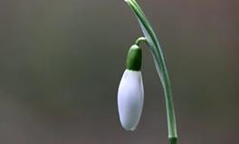 1976年属狗的人2024年的五大预兆，分别是什么，需要留意哪些问题