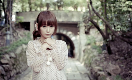 通过太阳/群星落宫，看你适合的职业类型