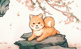 1994年属狗寿命长吗，能活到多少岁