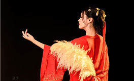 属牛人如何规划自己的未来