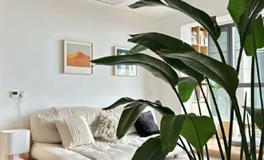 哪些风水容易对婚姻产生破坏作用