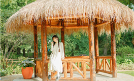 感情中过分善良，很容易被骗的星座女