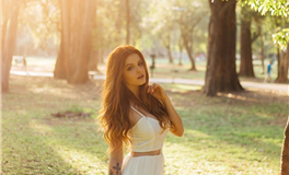 双子座复仇的阴险招数