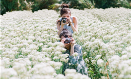 Ezoey徐佩玲金牛座一周运势（4.29-5.5）