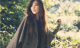 携手并进，中年夫妻如何巧妙应对婚姻挑战