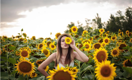 感情方面，贪图新鲜感的六大星座