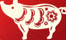 董易林生肖猪2024年5月运势