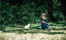 佩妮每周星座运势（5.13-5.19）