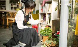 李云天生肖猪一周运势（5.12-5.18）