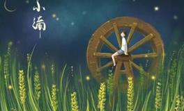 福州小满吃什么 这天要做哪些事