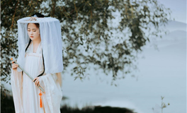 2024年度学业运势排行榜，四大生肖引领文昌好运潮