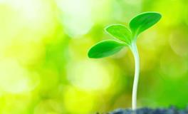 芒种养生秘籍，夏季护心，机遇难得，一年的健康就从现在开始