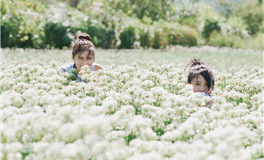 属虎女餐厅吃饭，菜品现苍蝇，她会怎么办？