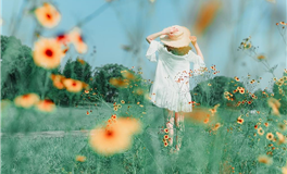 属马人在何种情境下易显杠精本色