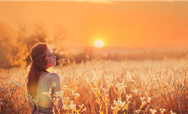 哪些情境会触发属虎男的怒火