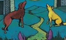 爱莎公主射手座一周塔罗运势（7.22-7.28）