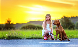 星座巫巫一周星座运势（8.19-8.25）