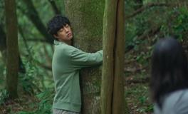 抱树减压放松有禁忌，特别是这个鬼月