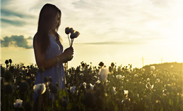 解梦有何深意？揭秘四个核心策略，洞察梦境背后的秘密