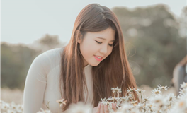 寓意和谐团圆的生肖象征