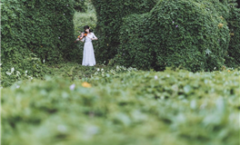 下周精彩预览，好运相伴，机遇无限