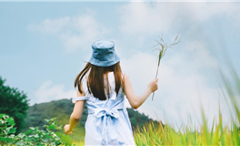 李云天2024年11月生肖运势