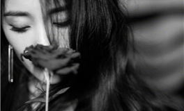 苏珊米勒每日运势2024年10月31日