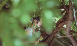 别说了！自己能够拿主意的四大星座！