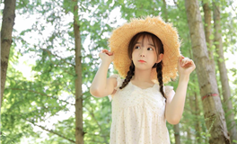 李云天生肖羊2024年11月运势