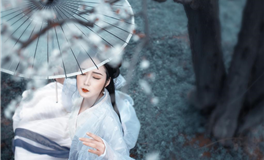 马乔丽2024年11月星座运势