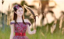 柒爸本周星座运势（11.11-11.17）