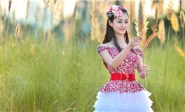 Alex大叔狮子座本周运势（11.25-12.1）