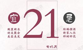 闹闹女巫店今日运势2024年11月21日