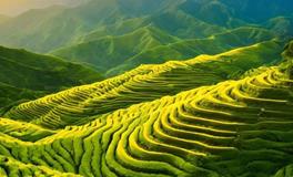 墓地风水优化，为后代子孙带来的多重益处