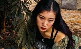 Alex大叔白羊座本周运势（11.18-11.24）