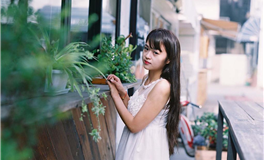 2024年末运程展望，十二生肖运势解析