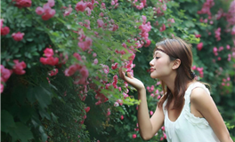 赤百合射手座本周运势（12.9-12.15）