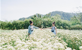 十二星座【周末运势】提醒12.21-12.22