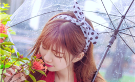 苏民峰：属狗的人2024年12月运势/农历十一月/丙子月(12.6-1.4)