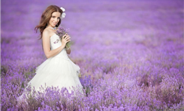 Alex大叔十二星座本周运势（12.2-12.8）