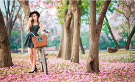 十年大运交替：生活变化的预兆与体现