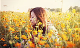 占星妖妖十二星座每日运势（2025-1-29）