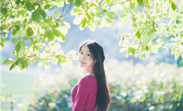 易鑫12生肖甲辰年腊月运势（1.5-2.3）