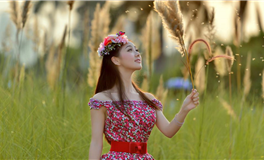 哪些星座的温柔最让人心疼？