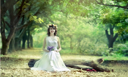 李云天生肖狗一周运势（1.19-1.25）