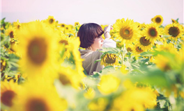 星座女神金牛座本周运势（2.3-2.9）