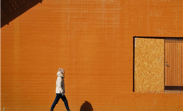 郑博士每日生肖运势2025年2月25日