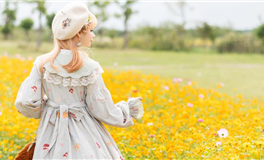 阅读理解：传递知识，点亮智慧